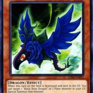 Blue Rose Dragon