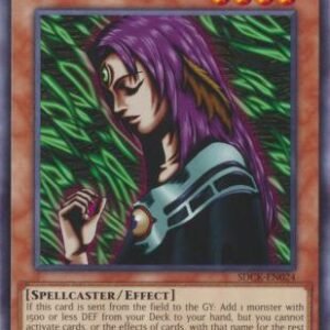 Witch of the Black Forest