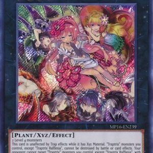 Traptrix Rafflesia