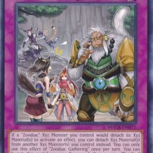 Zoodiac Gathering