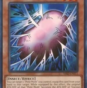 Cocoon of Evolution