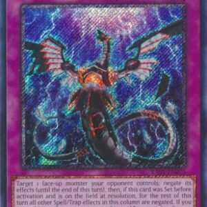Infinite Impermanence