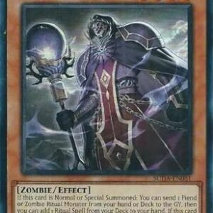 Dark Necromancer