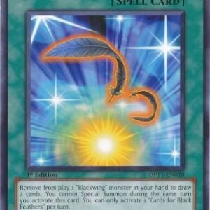 Cards for Black Feathers