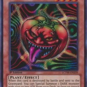 Mystic Tomato