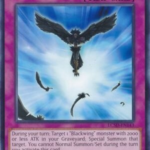 Blackback