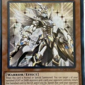 Black Luster Soldier - Sacred Soldier
