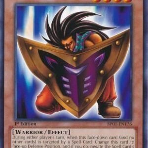Big Shield Gardna
