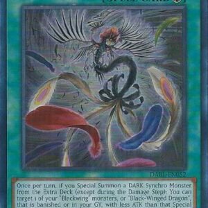 Black Feather Whirlwind