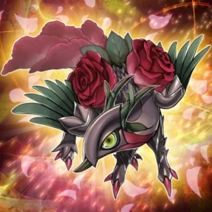 Red Rose Dragon