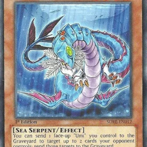Codarus