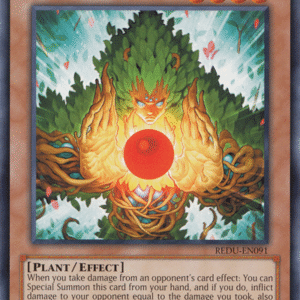 Eco, Mystical Spirit of the Forest