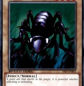 Big Insect