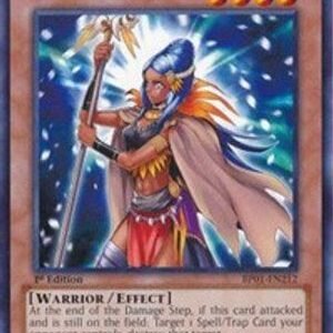 Amazoness Sage
