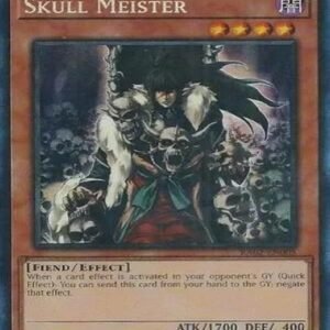 Skull Meister