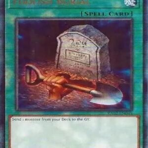 Foolish Burial