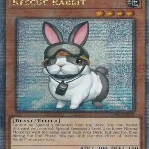 Rescue Rabbit