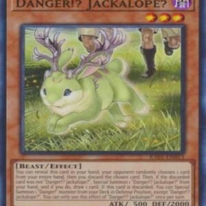 Danger!? Jackalope?