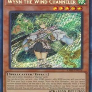 Wynn the Wind Channeler