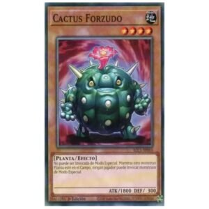 Cactus Bouncer