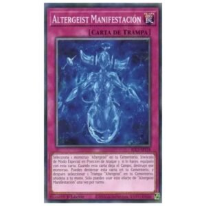 Altergeist Manifestation