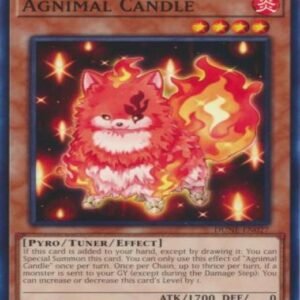 Agnimal Candle