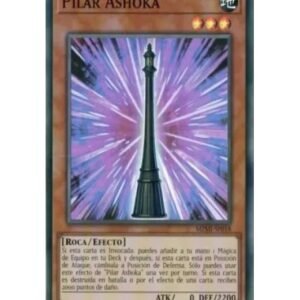 Ashoka Pillar