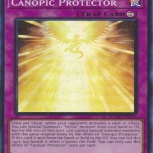 Canopic Protector