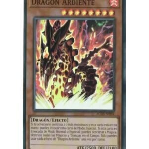 Burning Dragon