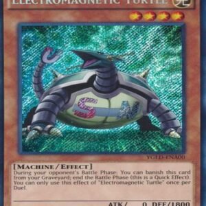Electromagnetic Turtle
