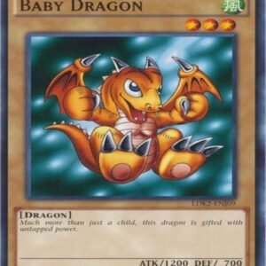 Baby Dragon