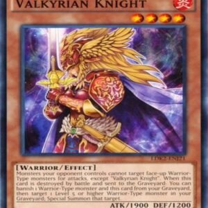 Valkyrian Knight