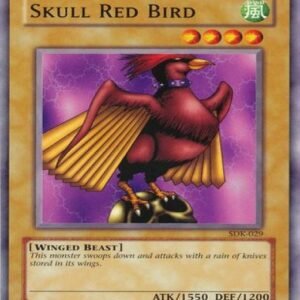 Skull Red Bird