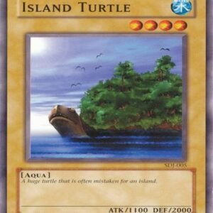 Island Turtle