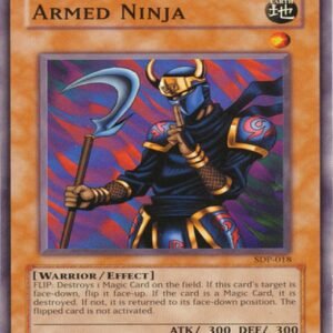 Armed Ninja