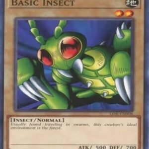 Basic Insect