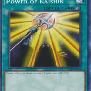 Power of Kaishin