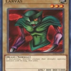 Larvas