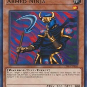 Armed Ninja