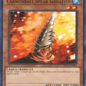 Cannonball Spear Shellfish