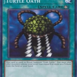 Turtle Oath