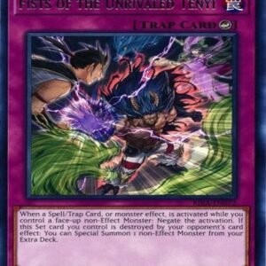 Fists of the Unrivaled Tenyi