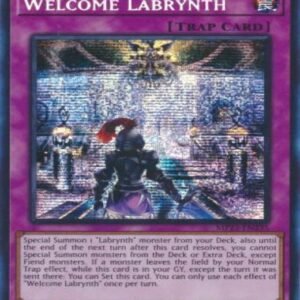 Welcome Labrynth