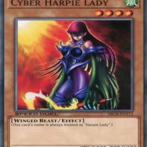 Cyber Harpie Lady