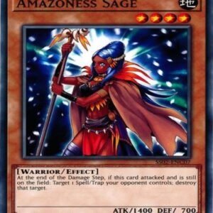 Amazoness Sage
