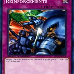 Reinforcements