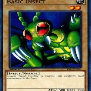 Basic Insect