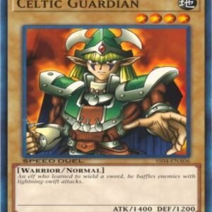 Celtic Guardian