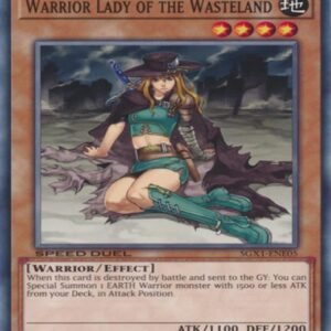 Warrior Lady of the Wasteland