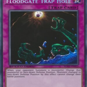 Floodgate Trap Hole